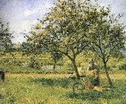 Camille Pissarro Wheelbarrow oil painting on canvas